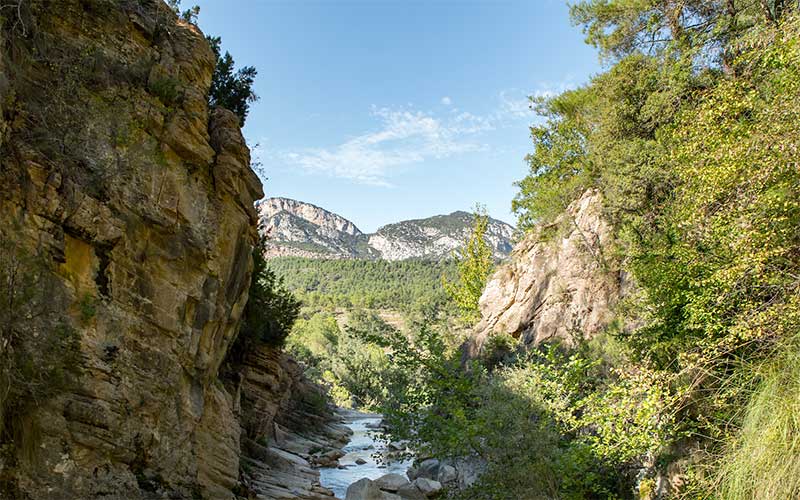 Reserva Nacional de Caza Cerdanya - Alt Urgell